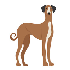 dog in flat design isolated, vector