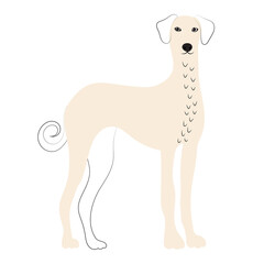 doodle dog, cartoon cute dog, isolated, isolated, vector