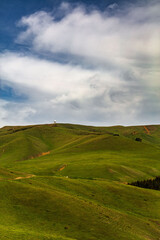 Fototapeta premium landscape with green grass and sky