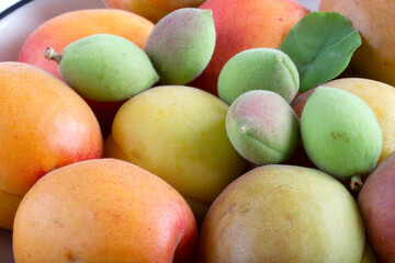green fresh apricots and ripe apricots in the plate