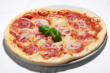 Pizza Salami Zwiebeln