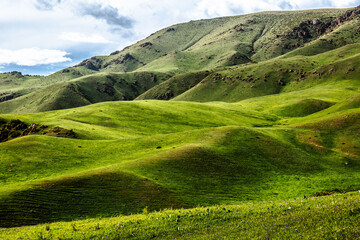 Fototapeta premium landscape with grass and mountains