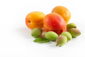 Green fresh apricots and ripe apricots on a white background