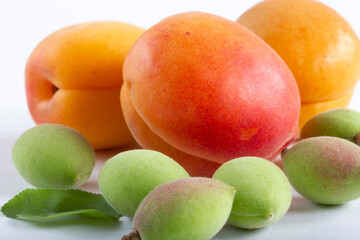 Green fresh apricots and ripe apricots on a white background