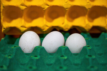 Close-up of eggs on paper tray