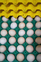 Close-up of eggs on paper tray