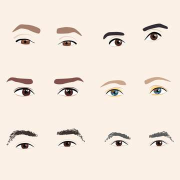 A set of different shapes and sizes of eyes and eyebrows of different types and colors