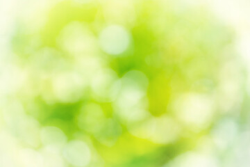 Fototapeta na wymiar Green blur abstract nature background
