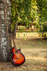 Acoustic guitar leaning against a tree trunk in the park.