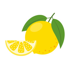 Calabrian bergamot whole fruit and slice isolated on white background. Citrus bergamia, bergamot orange icon for package design. Vector illustration of exotic citrus fruits in flat style.