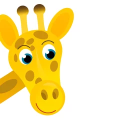 Tuinposter cartoon scene with giraffe on white background © honeyflavour