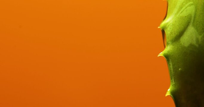 Alora vera leaf with juice, gel runs of on orange background