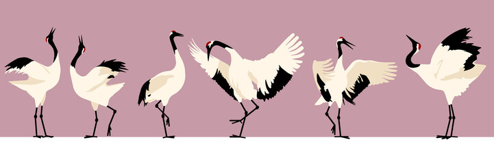 Crane birds vector illustration. Japanese cranes courtship dance. Set of white cranes in different positions. Symbol of traditional asian art, isolated flat vector illustration on pink background.