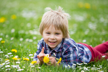 Beautiful toddler blond child, cute boy, lying in the grass