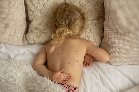 Rajce idnes todler girls 