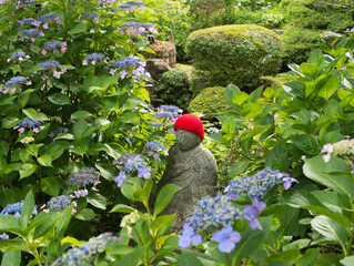 ガクアジサイとお地蔵さんと苔の生えた岩