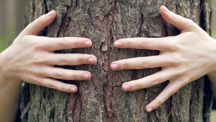 Female hand touches embrace, cuddles a tree in the forest. People and nature. Close up a young girl or woman hug stroking woods environment conservation concept. Harmony. Save Earth Green Planet