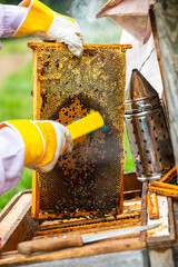 beekeeper takes the honeycomb out of the hive.. Apitherapy