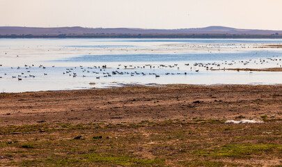 landscape with a lake