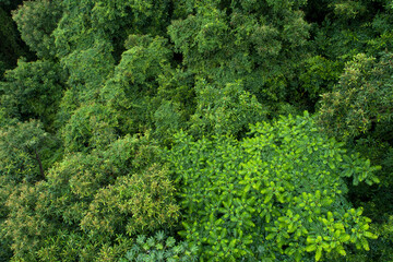 Aerial view of beautiful forest mountain landscape