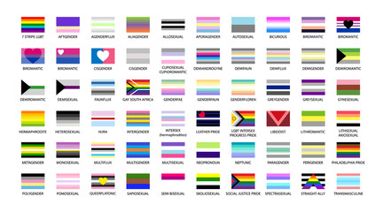 Large set of lgbtq community flags. LGBT Pride Month illustrations, LGBTQ concept. Gender equality and sexual identity, support for homosexuality. Icons set for International lgbt Pride Day.