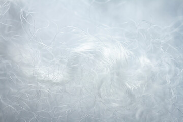 Fototapeta premium Extreme macro of polyester stable fiber