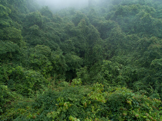 Aerial view of beautiful forest mountain landscape