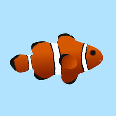 Vector illustration. Clown fish. Fish in the water. Vector - obrazy, fototapety, plakaty