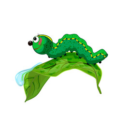 Obraz premium Caterpillar on leaf. Cute cartoon caterpillar crawling on leaf with dew drop. Funny millipede in summer nature. Mascot character green grub or butterfly pupa. Happy smiling worm or centipede. Vector