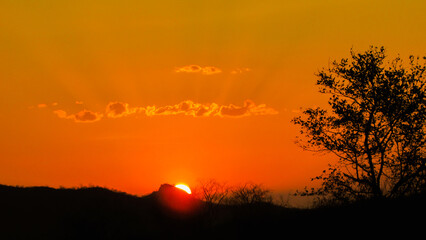 Sunset a beautiful sky orange golden clouds creating a beautiful and misteiroso scenery in the nordete of Brazil on the serrated biome