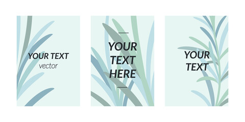 Design templates in flat style with green leaves. Social media banner with herb. Summer sale, media promotional content.