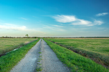 An empty and straight gravel road through green meadows