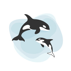 Killer whale, orcinus orca. Female with calf. Сute animal character. Vector background with text space.
