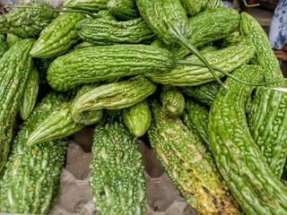 bitter gourd for sale