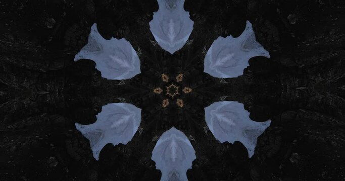 Blue rosette abstract patterns