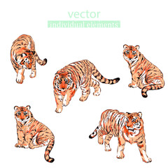 Fototapeta na wymiar Beautiful vector designer hand drawn set with elements of wild animals illustration tigers for printing textile stickers, postcards, advertising covers and decor.