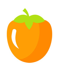 Persimmon Exotic Fruit. Vector illustration