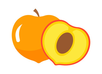 Apricot fruit with slice. Vector illustration