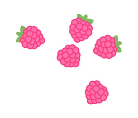 Raspberry berries icon. Vector illustration