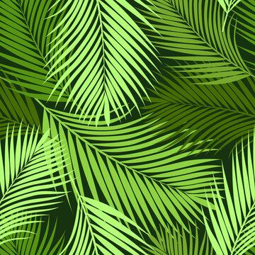 Palm tree pattern. Green leaves on dark backdrop. Seamless vector background. Botanical illustration