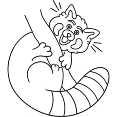 Cute and chubby red panda. Vector line for postcards, for printing, for design, for posters, for decoration. Can be used as stickers or coloring books. As a way to express your emotions.