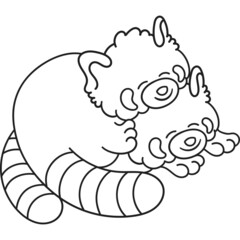 Cute and chubby red panda. Vector line for postcards, for printing, for design, for posters, for decoration. Can be used as stickers or coloring books. As a way to express your emotions.