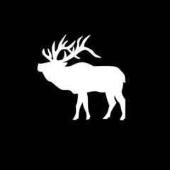 silhouette of an elk
