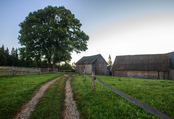 Hiking trail on top of mountains in forests and farmland on background of blue sky, travel in nature of Carpathians, Ukraine