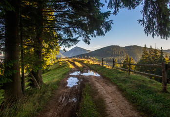 Hiking trail on top of mountains in forests and farmland on background of blue sky, travel in nature of Carpathians, Ukraine
