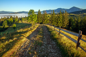 Hiking trail on top of mountains in forests and farmland on background of blue sky, travel in nature of Carpathians, Ukraine