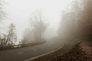 An empty road in the forest on a foggy morning. Copy space. Haze between the trees. Autumn landscape in Slovenia. Beautiful moody background. 