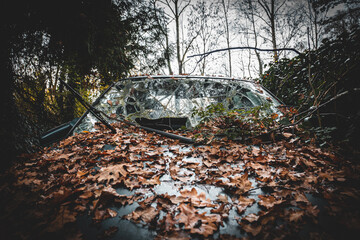 Altes Auto das in einem Wald steht und mit Laub bedeckt ist. Die Windschutzscheibe ist zerstört