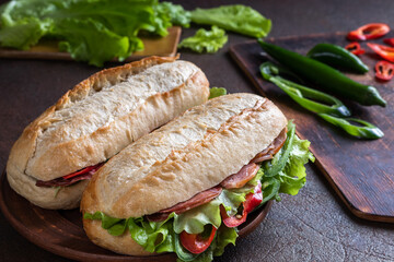 Banh mi sandwiches stuffed with vegetables and meat