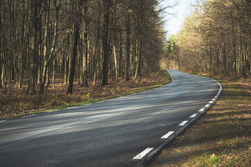 Asphalt road with a curve through a dark forest